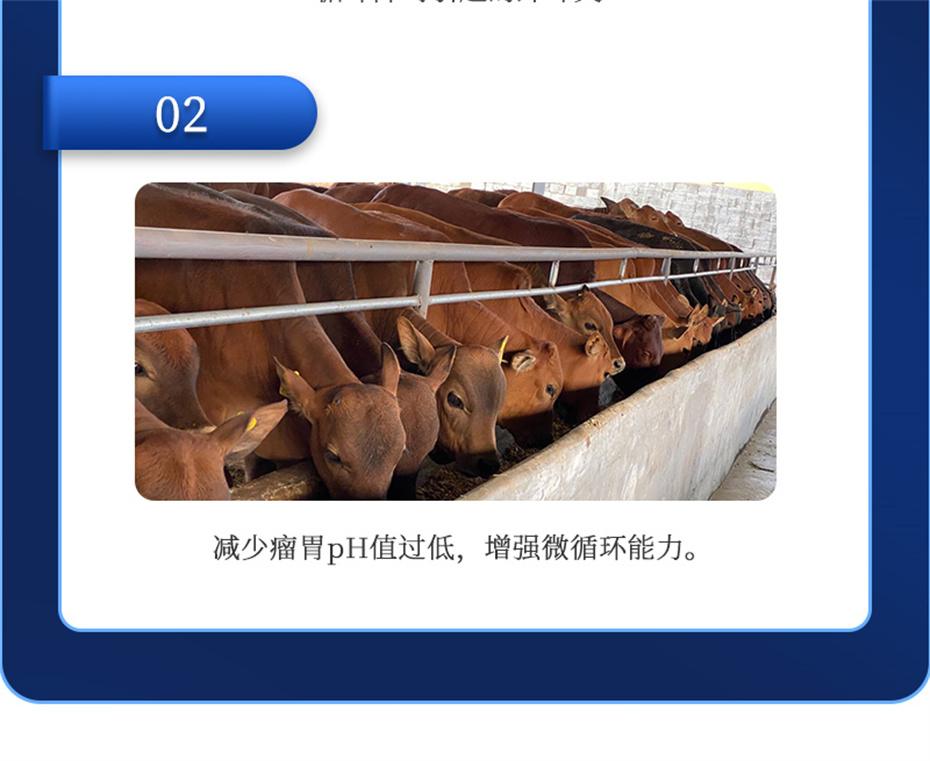 j9����Ʒ�ʶ���ţ���������Ӽ�θ��plus��Ʒ����