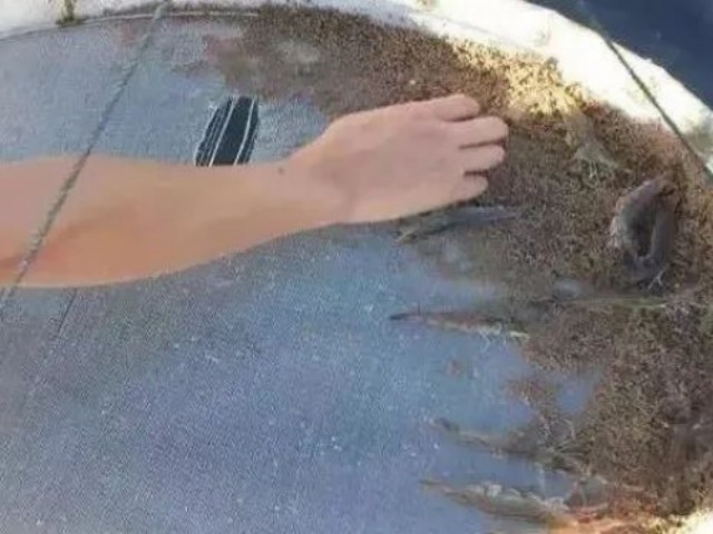 ��Ϻ��ôι
