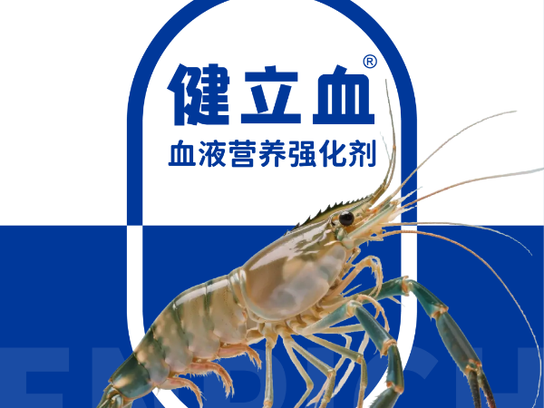 ��ϺҪ��Ѫ��͵��Ӧ�����߲���ԭ������Ϊ����
