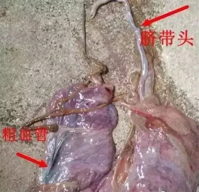 �ж�ĸ���Ƿ�����1���������ͷ