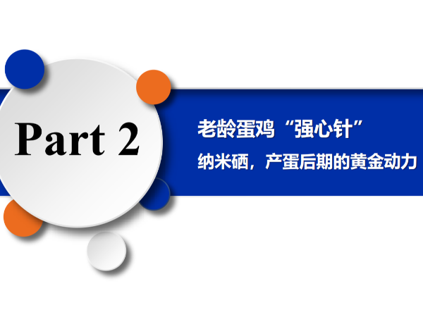 ���䵰����ǿ���롱����Ħ�������������ڵĻƽ���